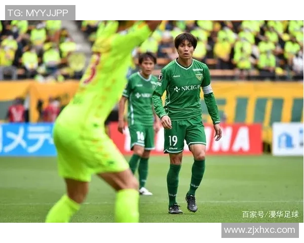 冈山绿雉与东京绿茵比赛腰斩的原因分析及影响探讨